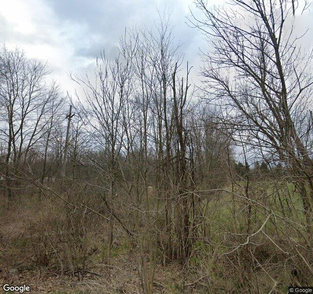1681 E. ROSE CTR., Rose Twp., MI 48442-8541
